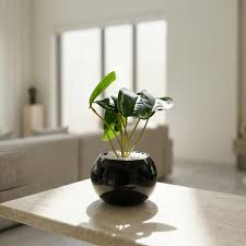 Midnight Indoor Planter