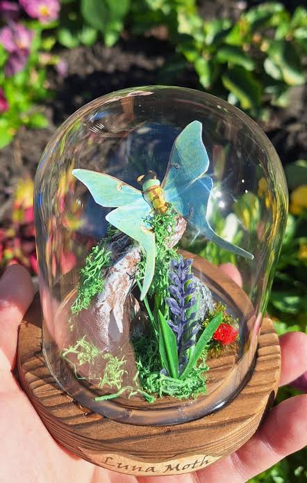 Moonlit Moth Figurine